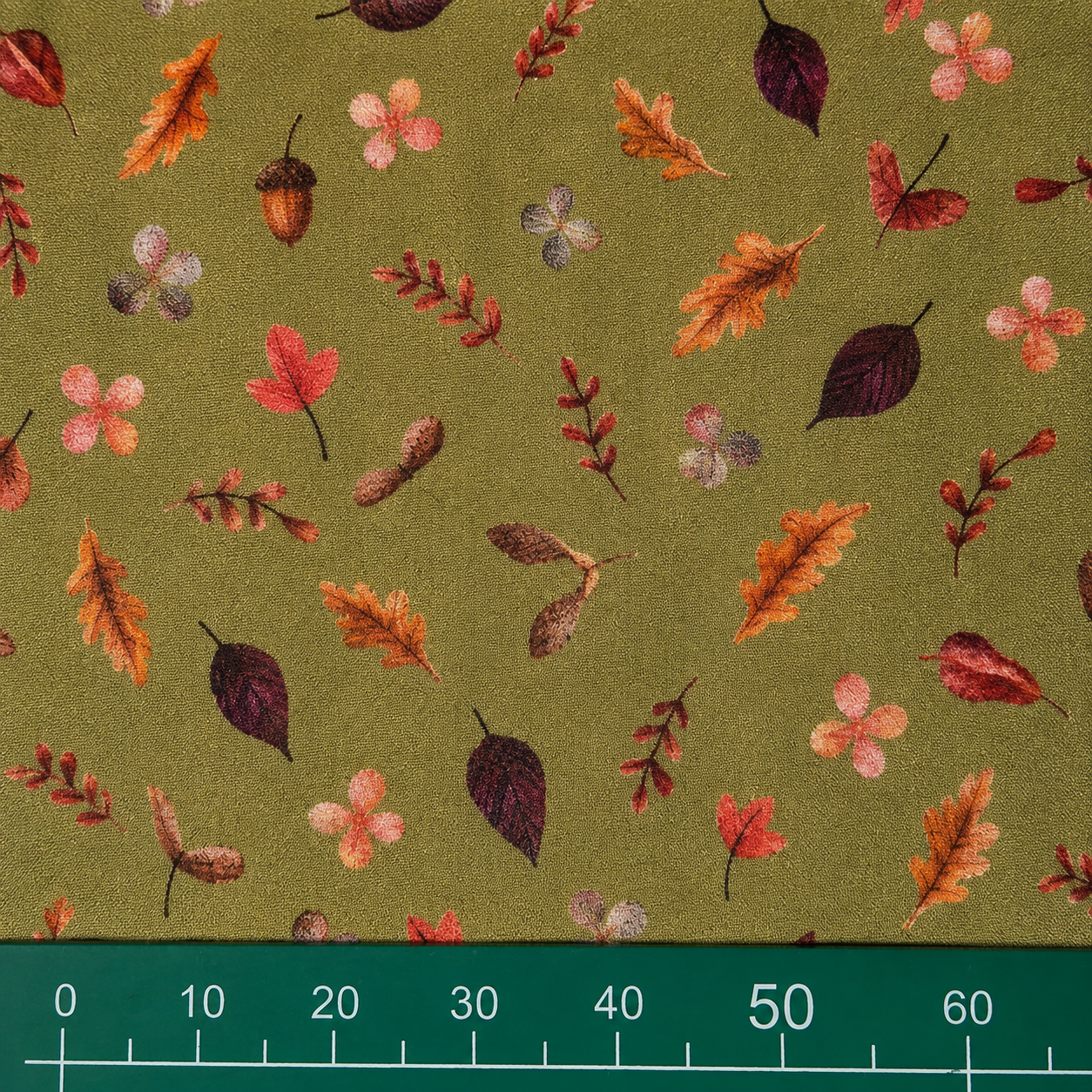 Olive Forest — 4
