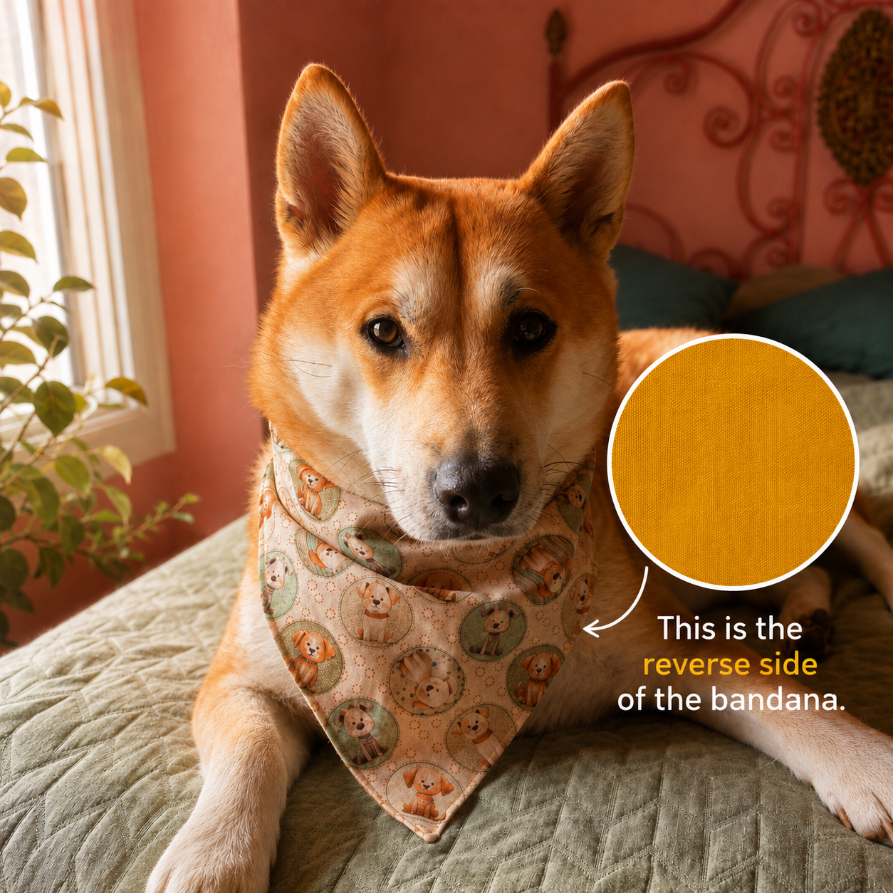 Petsbook — 5