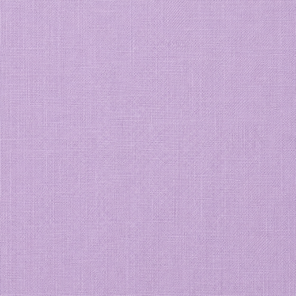 Cherry Blossom — 3