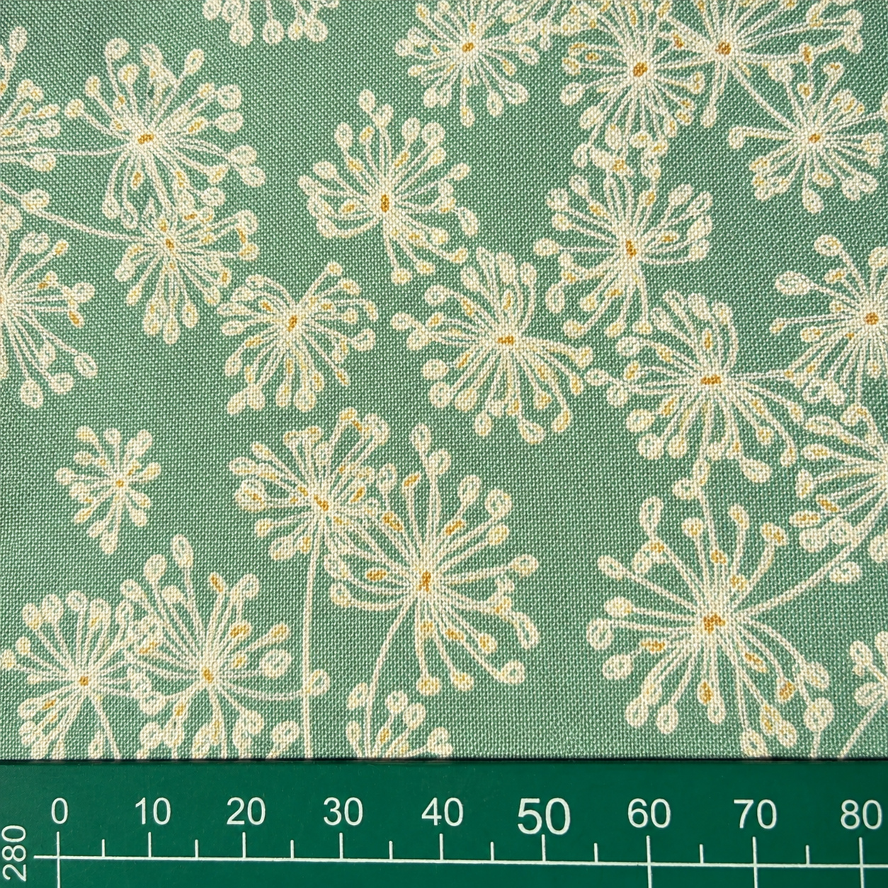 Dandelion Sky — 2