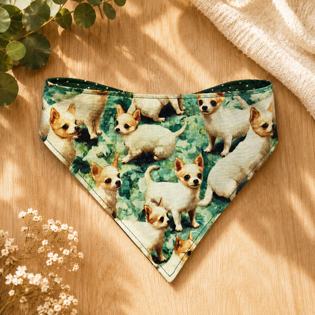 Chihuahua Garden — 1