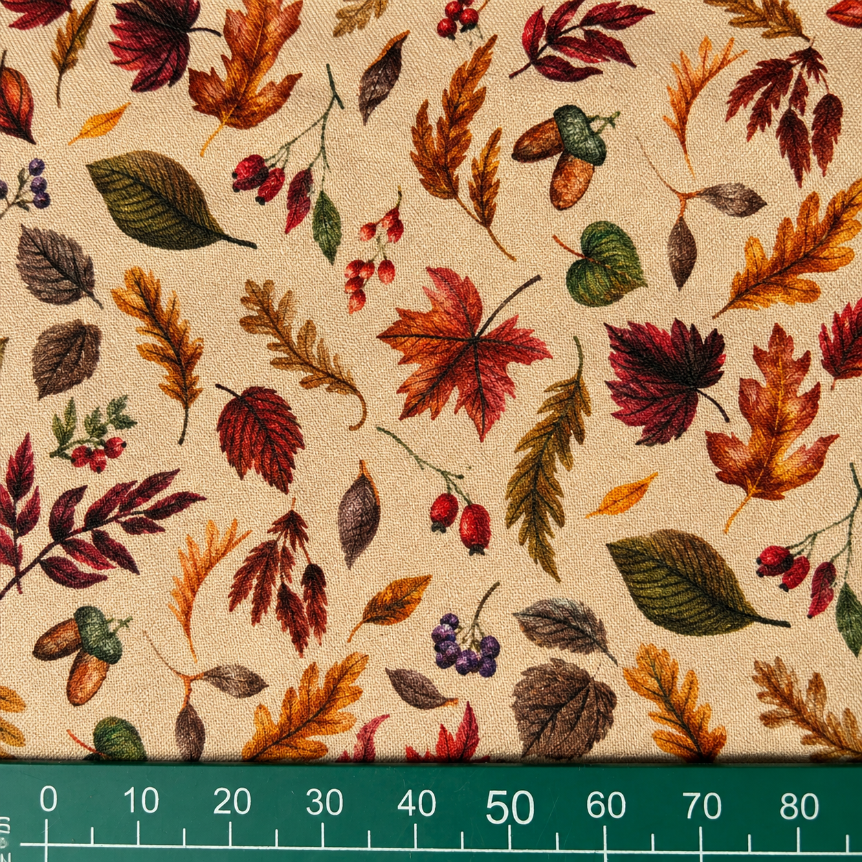 September Forest — 3